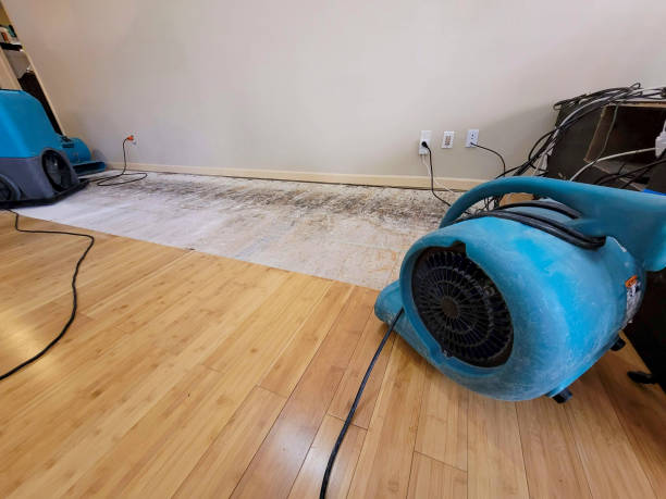 Professional Burst Pipe Water Damage technician working in East McKeesport, PA